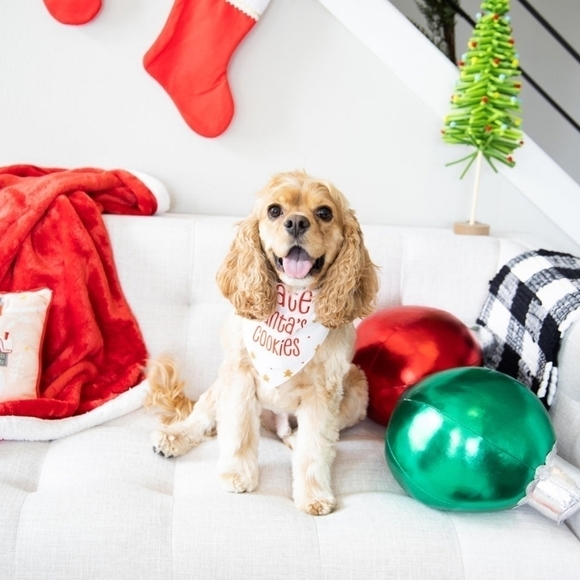 Little Pear Holiday Pet Bandana Christmas "I ate Santa's Cookies" Small/Medium - Picture 5 of 8